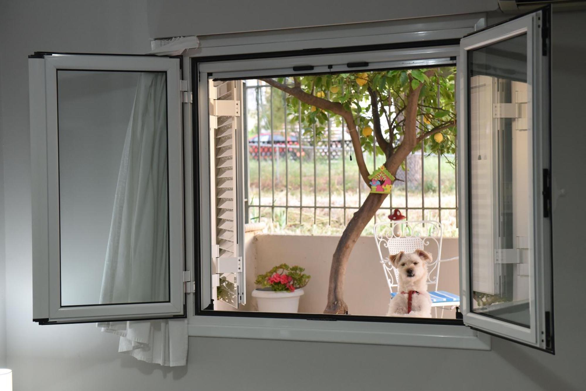 Fanis Apartment Lechaio